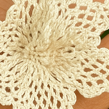 Rosa do deserto, brincos de renda