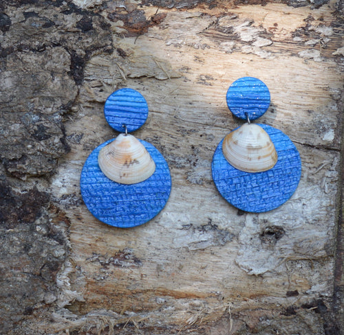 Sea shell, earrings